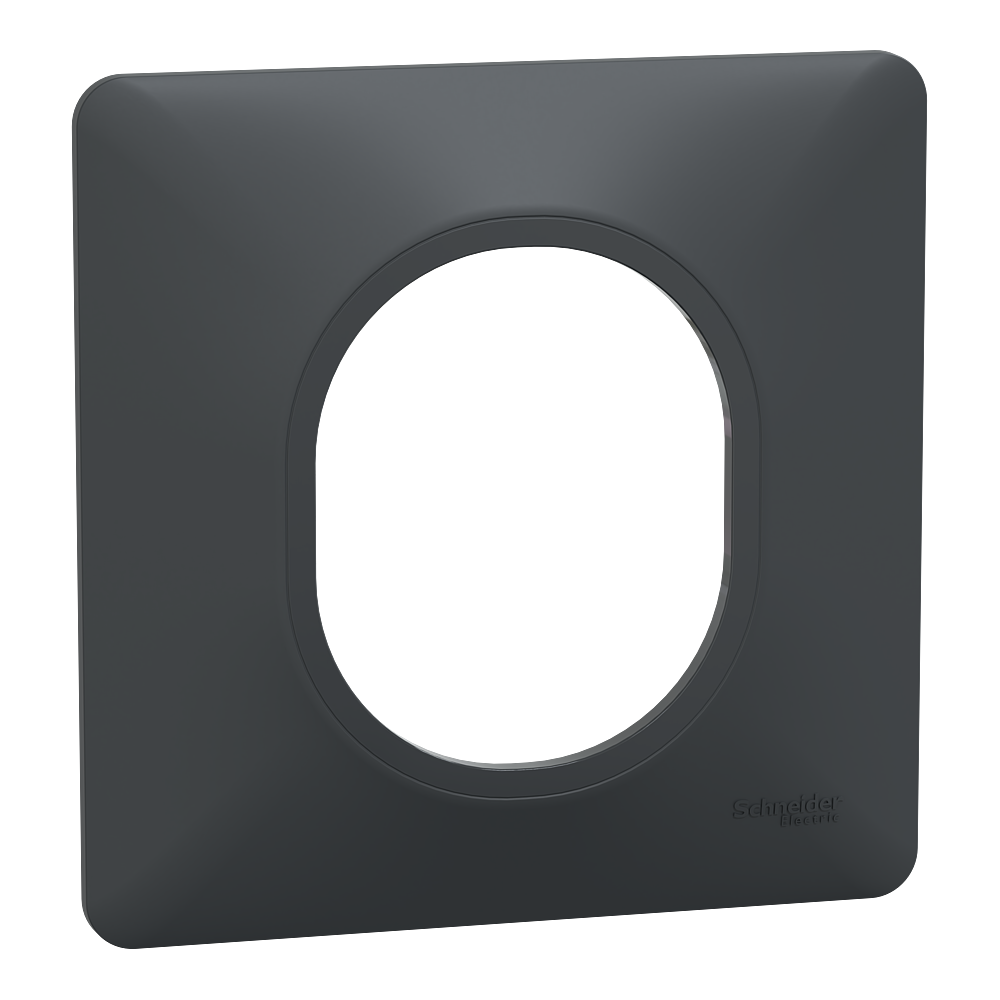 Plaque 1 poste Anthracite